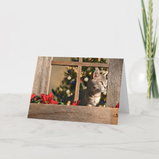 Cartes Pour Fêtes Annuelles Regarder le Père Noël