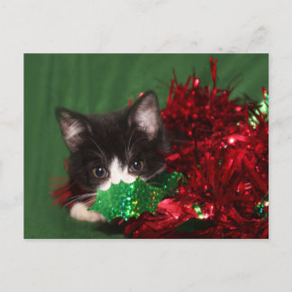 Cartes Pour Fêtes Annuelles Regards pour Père Noël