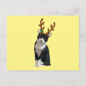 Cartes Pour Fêtes Annuelles Reindeer Calliope (Devant)