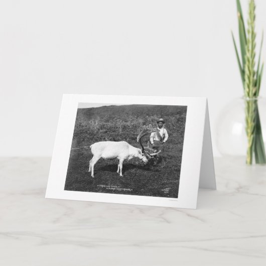 Cartes Pour Fêtes Annuelles Reindeer & Eskimo Alaska 1920 (Devant)