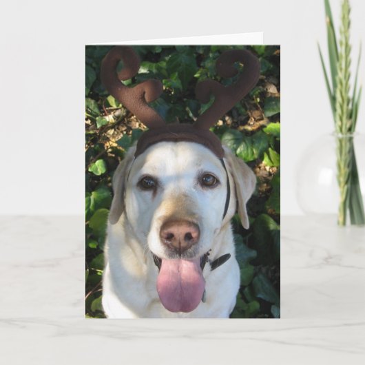 Cartes Pour Fêtes Annuelles Reindeer Prima (Devant)