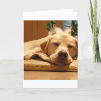 Cartes Pour Fêtes Annuelles Reinder de Noël