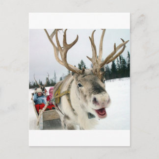 Cartes Pour Fêtes Annuelles Reinder de Noël