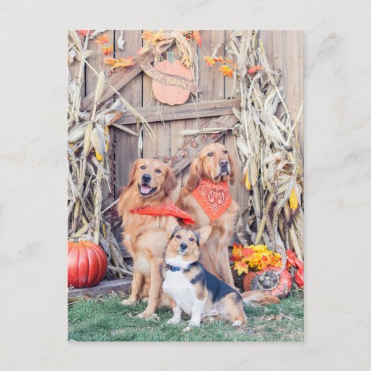 Cartes Pour Fêtes Annuelles Remerciez les chiens mignons et la récolte de Than (Devant)