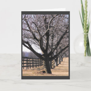 Cartes Pour Fêtes Annuelles Remerciez nos vétérans 6