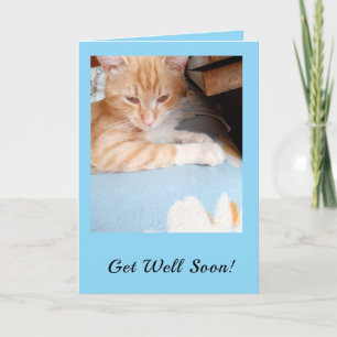 Cartes Pour Fêtes Annuelles Remettez-vous vite ! Amoureux des Chats Bleu