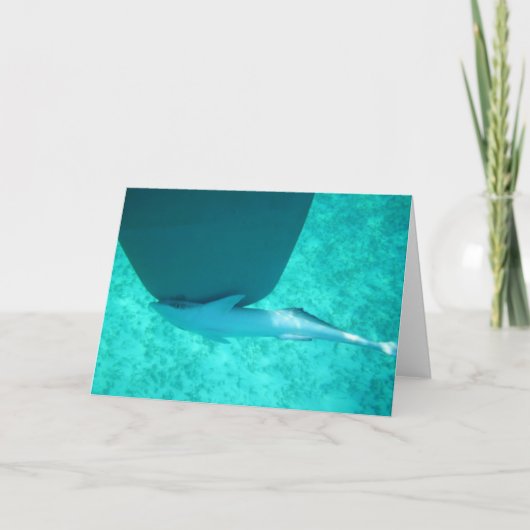 Cartes Pour Fêtes Annuelles Remora de Sharksucker (Devant)