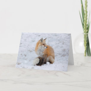 Cartes Pour Fêtes Annuelles Renard cascade en neige
