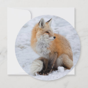 Cartes Pour Fêtes Annuelles Renard cascade en neige
