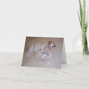Cartes Pour Fêtes Annuelles Retriever dormant mignon avec lapin de jouet