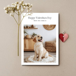 Cartes Pour Fêtes Annuelles Retro Joyeux Valentines Jour Chien Animal de Compa