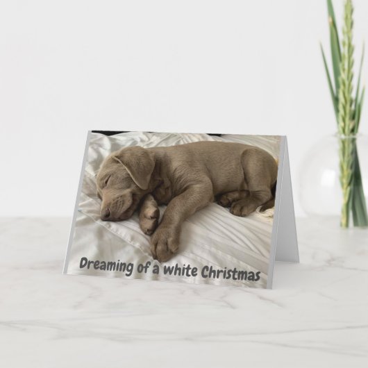 CARTES POUR FÊTES ANNUELLES RÊVE D'UN BLANC *NOËL* LE DÉPENSE AVEC VOUS (Devant)