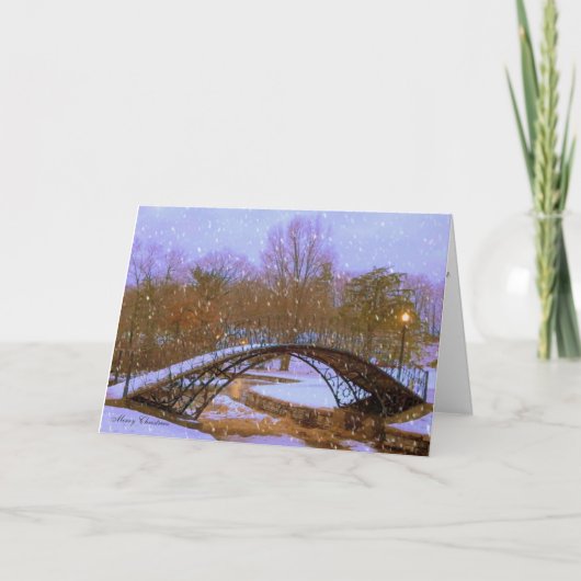 Cartes Pour Fêtes Annuelles Réveillon de Noël en parc (Devant)