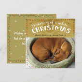 Cartes Pour Fêtes Annuelles Rêver de Noël blanc (Devant / Derrière)