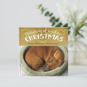 Cartes Pour Fêtes Annuelles Rêver de Noël blanc (Debout devant)