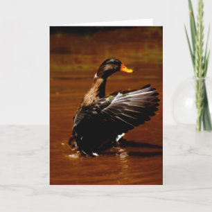 Cartes Pour Fêtes Annuelles Rêver De Vol