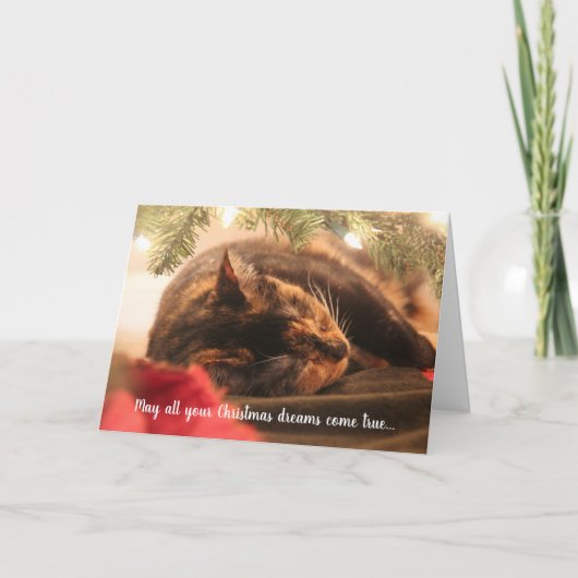 Cartes Pour Fêtes Annuelles Rêves de Noël Chat Calico Endormi, Personnalisé (Devant)
