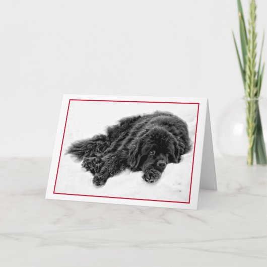 Cartes Pour Fêtes Annuelles Rêves d'hiver (Devant)