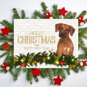 Cartes Pour Fêtes Annuelles Rhodesian Ridgeback Joyeux Noël Bonne année