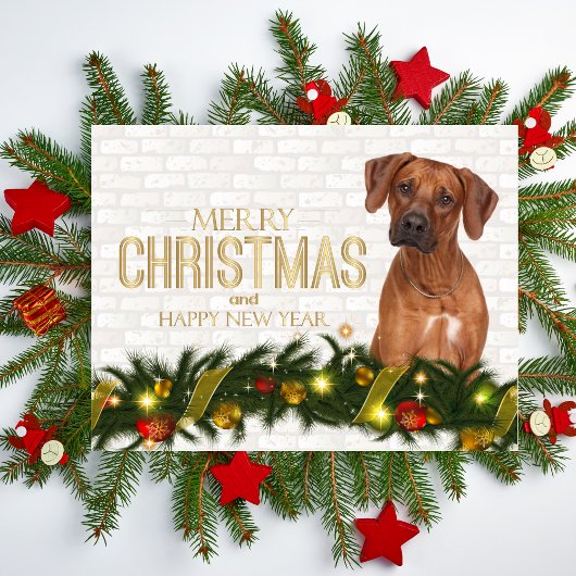 Cartes Pour Fêtes Annuelles Rhodesian Ridgeback Joyeux Noël Bonne année