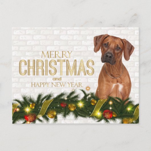 Cartes Pour Fêtes Annuelles Rhodesian Ridgeback Joyeux Noël Bonne année (Devant)