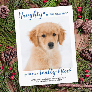 Cartes Pour Fêtes Annuelles Rien de Nice Drôle de Photo de Chien à Carreaux Bl