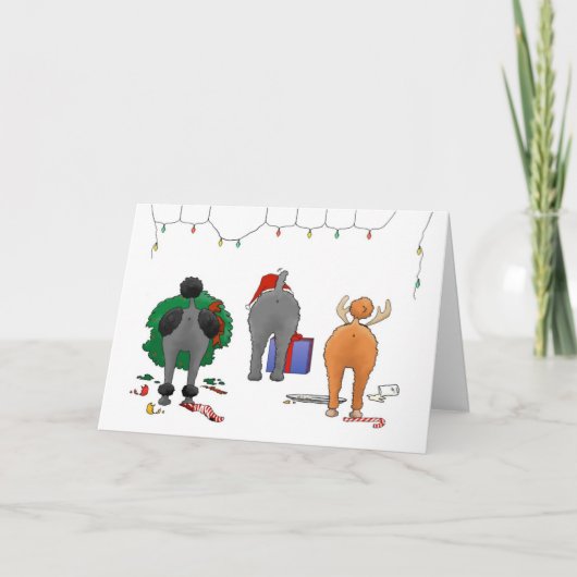 Cartes Pour Fêtes Annuelles Rien n'aboutent Noël de caniche (Devant)