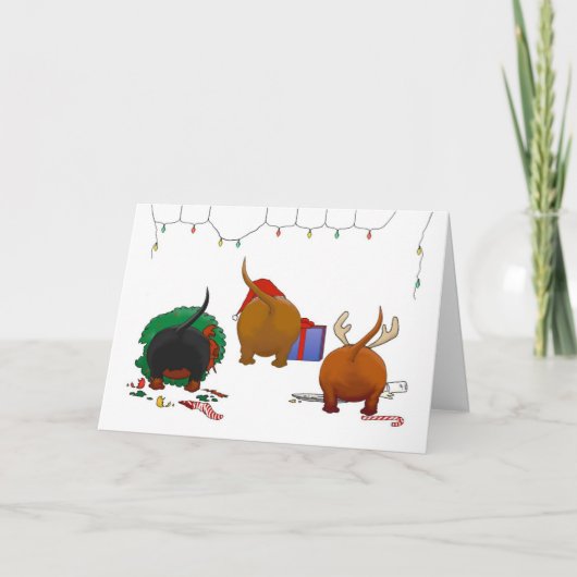 Cartes Pour Fêtes Annuelles Rien n'aboutent Noël de Doxie (Devant)