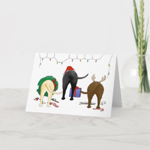 Cartes Pour Fêtes Annuelles Rien n'aboutent Noël de laboratoire