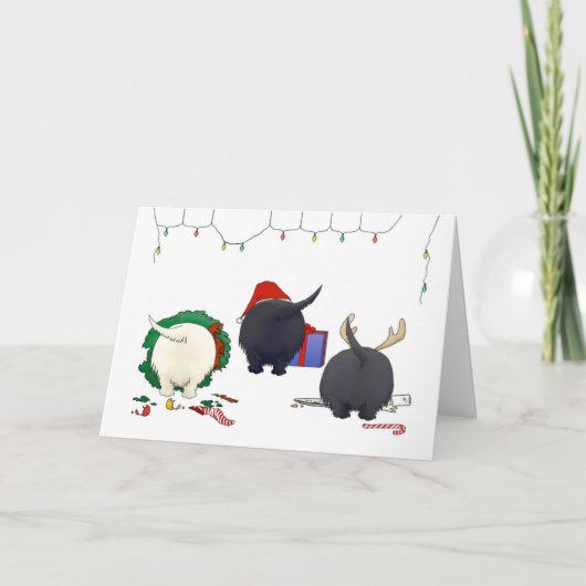 Cartes Pour Fêtes Annuelles Rien n'aboutent Noël de Scottie (Devant)