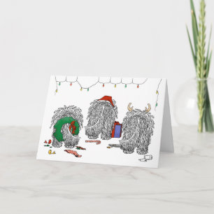 Cartes Pour Fêtes Annuelles Rien que Noël Komondor