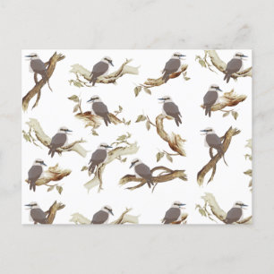 Cartes Pour Fêtes Annuelles Rire Kookaburra Eucalyptus d'oiseaux australiens