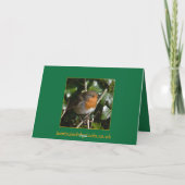 Cartes Pour Fêtes Annuelles Robin (Dos)