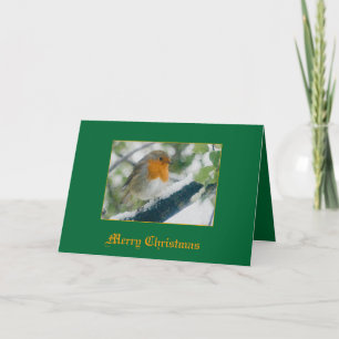 Cartes Pour Fêtes Annuelles Robin