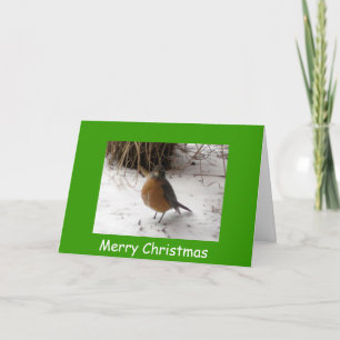 Cartes Pour Fêtes Annuelles Robin dans la neige, Joyeux Noël