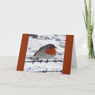 Cartes Pour Fêtes Annuelles Robin Redmamin