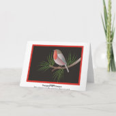 Cartes Pour Fêtes Annuelles Robin Redmamin (Dos)