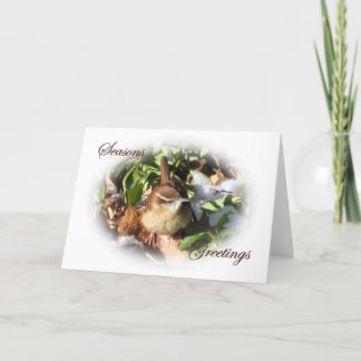 Cartes Pour Fêtes Annuelles Roitelet d'hiver