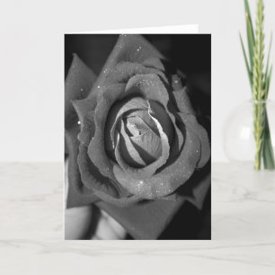 Cartes Pour Fêtes Annuelles Romance