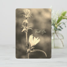 Romantic Trees & Flowers – Botanical Fantasy Boho 