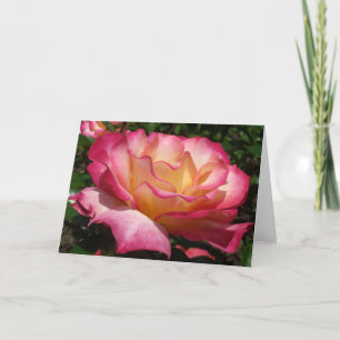 Cartes Pour Fêtes Annuelles Rose