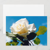 Cartes Pour Fêtes Annuelles Rose blanche - Célébration de la vie (Devant / Derrière)