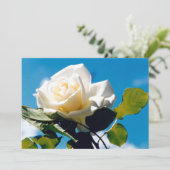 Cartes Pour Fêtes Annuelles Rose blanche - Célébration de la vie (Debout devant)