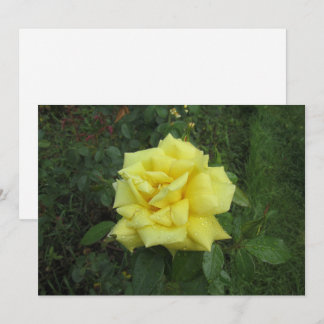 Cartes Pour Fêtes Annuelles Rose cubiste