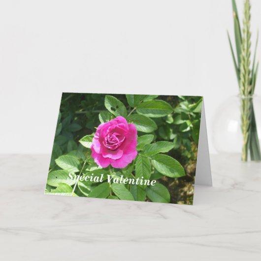 Cartes Pour Fêtes Annuelles Rose de Saint-Valentin pour quelqu'un de spécial (Devant)