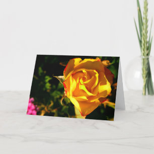 Cartes Pour Fêtes Annuelles Rose orange