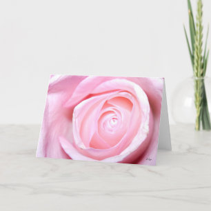 Cartes Pour Fêtes Annuelles Rose rose, S Cyr