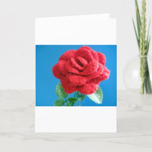 Cartes Pour Fêtes Annuelles Rose rouge coton