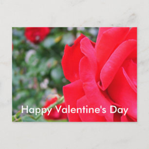 Cartes Pour Fêtes Annuelles Rose rouge, heureuse Sainte-Valentin