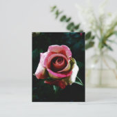 Cartes Pour Fêtes Annuelles Rose rouge peinte à l'huile (Debout devant)